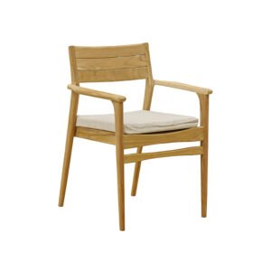 COLVA DINING ARMCHAIR