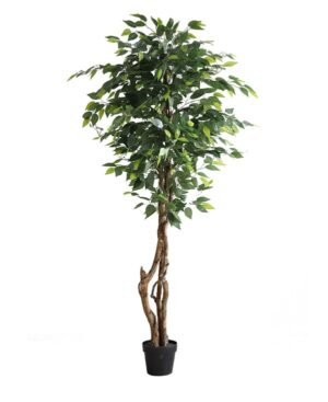 FICUS TREE NP5209_180  ΥΨΟΣ 180cm NewPlan
