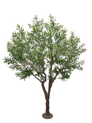 OLIVE TREE NP496_240_UV ΥΨΟΣ 240cm NewPlan