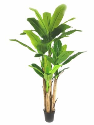 BANANA TREE NP018_280_22  ΥΨΟΣ 280cm NewPlan