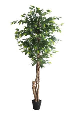 FICUS TREE NP5208_150   ΥΨΟΣ 150cm NewPlan