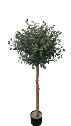 OLIVE TREE NP5807_150_22_UV ΥΨΟΣ 150cm NewPlan