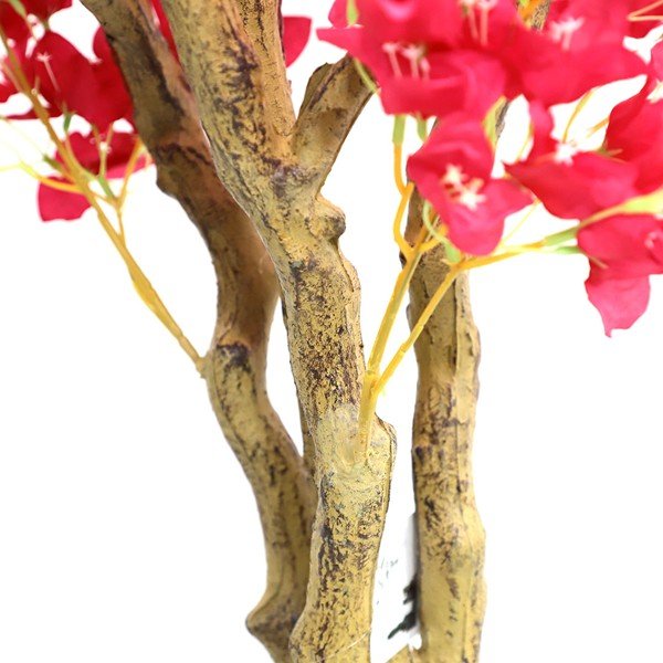 BOUGAINVILLEA NP0421_210 ΥΨΟΣ 210cm NewPlan - Image 4