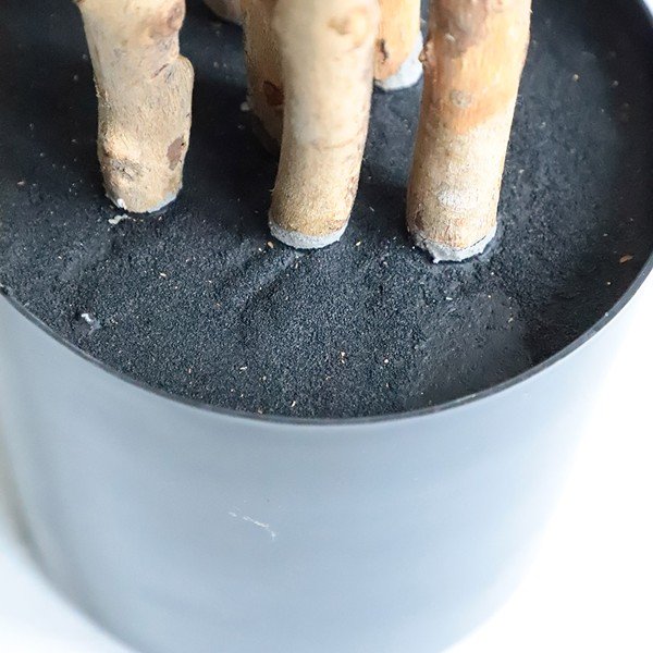 DRACAENA NP_325_180 ΥΨΟΣ 180cm NewPlan - Image 4